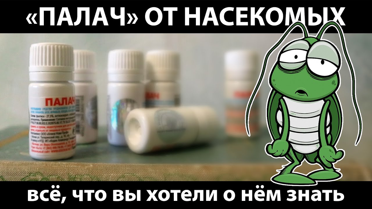 Подробно о средстве от насекомых «Палач». Как пользоваться