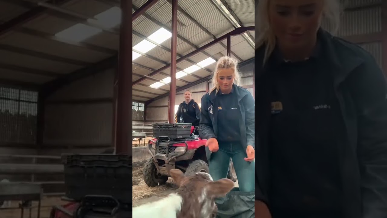 AGRICULTRICE -ENTRE FILLES A LA FERME #agricultrice #agriculture #ferme