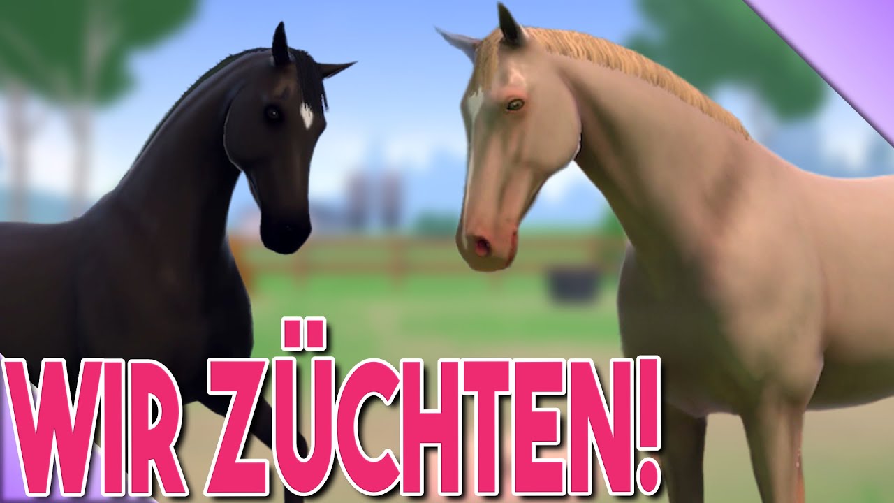 Wir 𝐙Ü𝐂𝐇𝐓𝐄𝐍 endlich! 🐴 Equestrian The Game