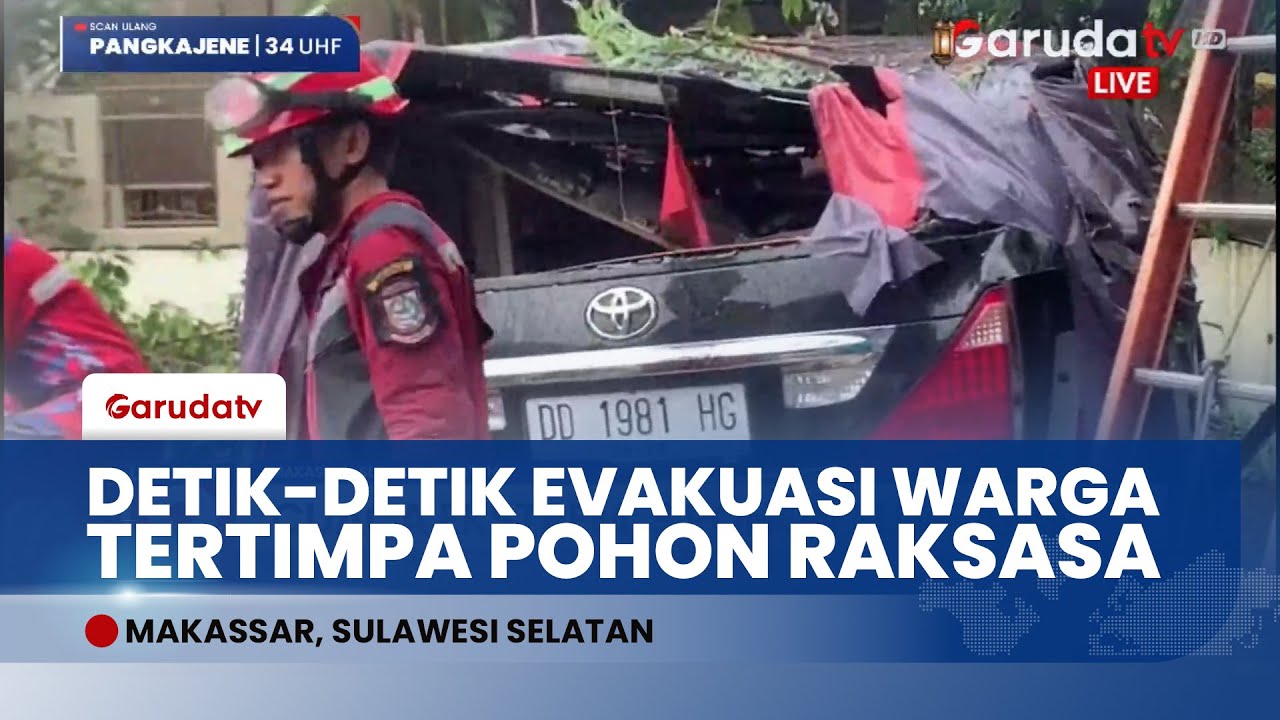 Mencekam! Angin Kencang di Makassar Robohkan 9 Pohon, Penjual Buah & Mobil Mewah Tertimpa