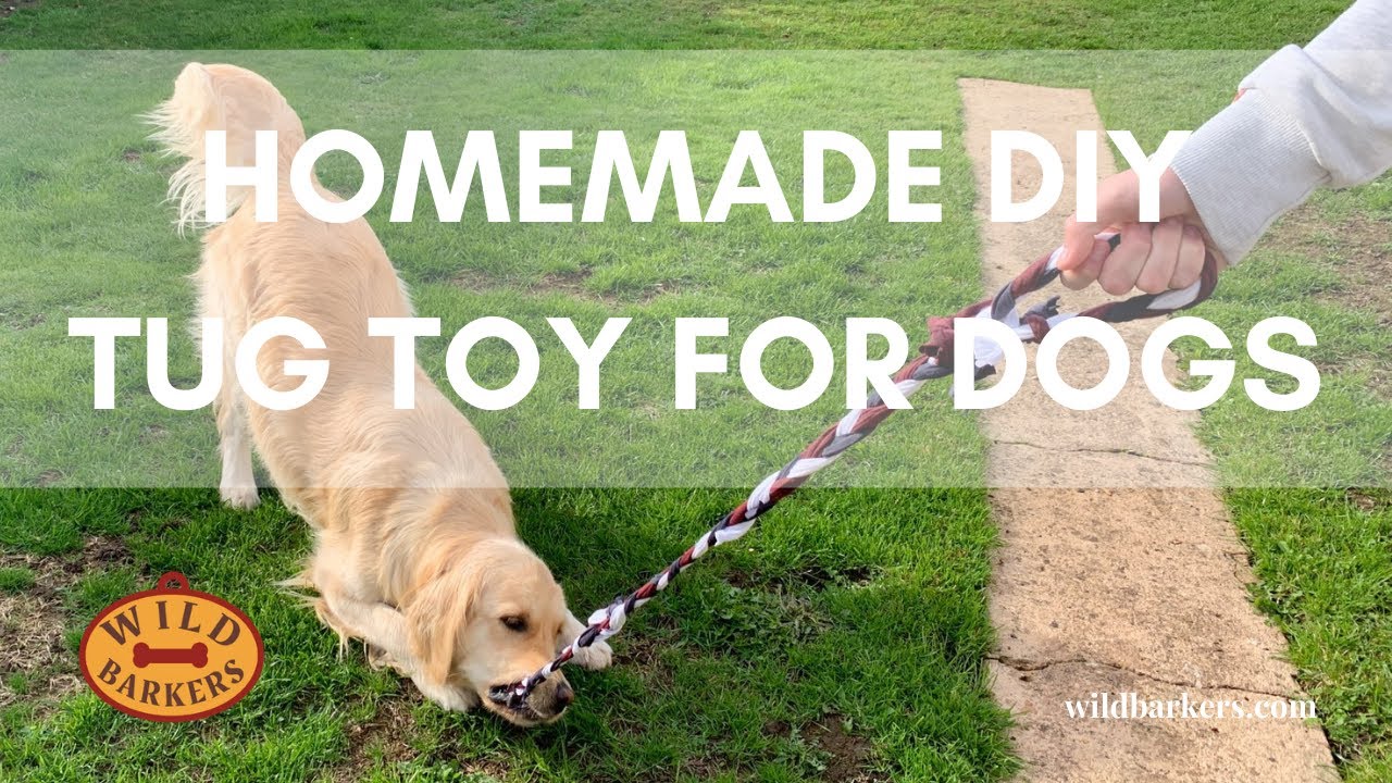 HOMEMADE DIY TUG TOY FOR DOGS: EASY, ENRICHMENT, CHEAP, CANINE GAMES | Wild Barkers