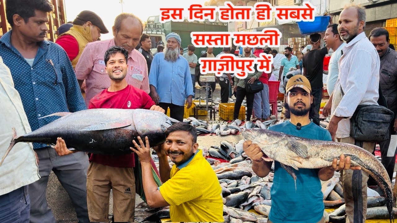 दिल्ली का सबसे बड़ी मछली मार्केट 2026| Biggest Wholesale Fish Market Delhi ghazipur fish Mandi |rrrm
