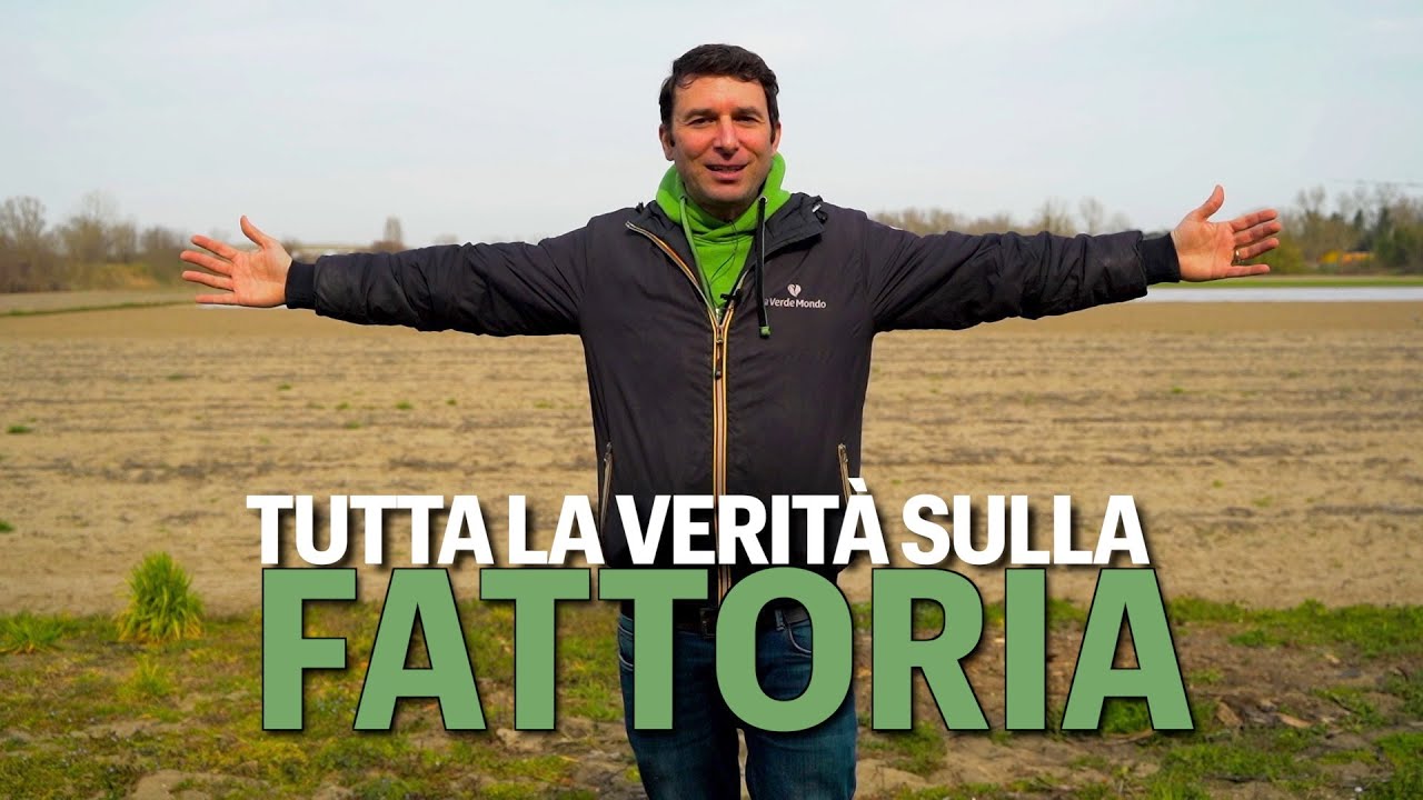 La NUOVA FATTORIA Il Verde Mondo e i NUOVI PROGETTI