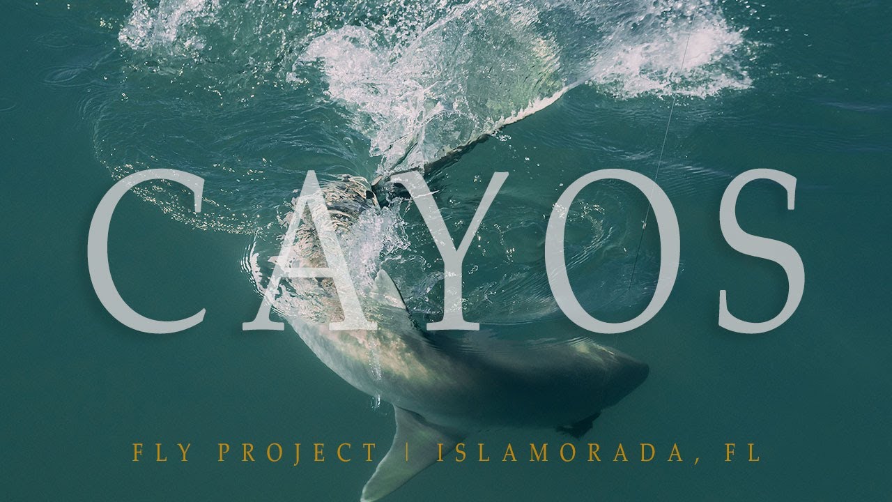 CAYOS | Fly Fishing For Sharks & Snook (Florida Keys  Fly Fishing)