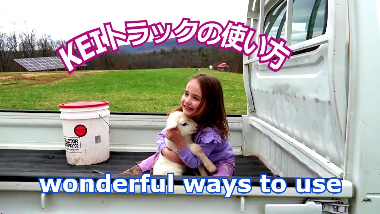 【英語で海外を見る】アメリカやニュージーランドの【KEI トラック】のユニークな使い方！除雪車、芝刈り機からすごいカスタムまで　用途が多く信頼して乗れるのも魅力！#軽トラ #keitruck