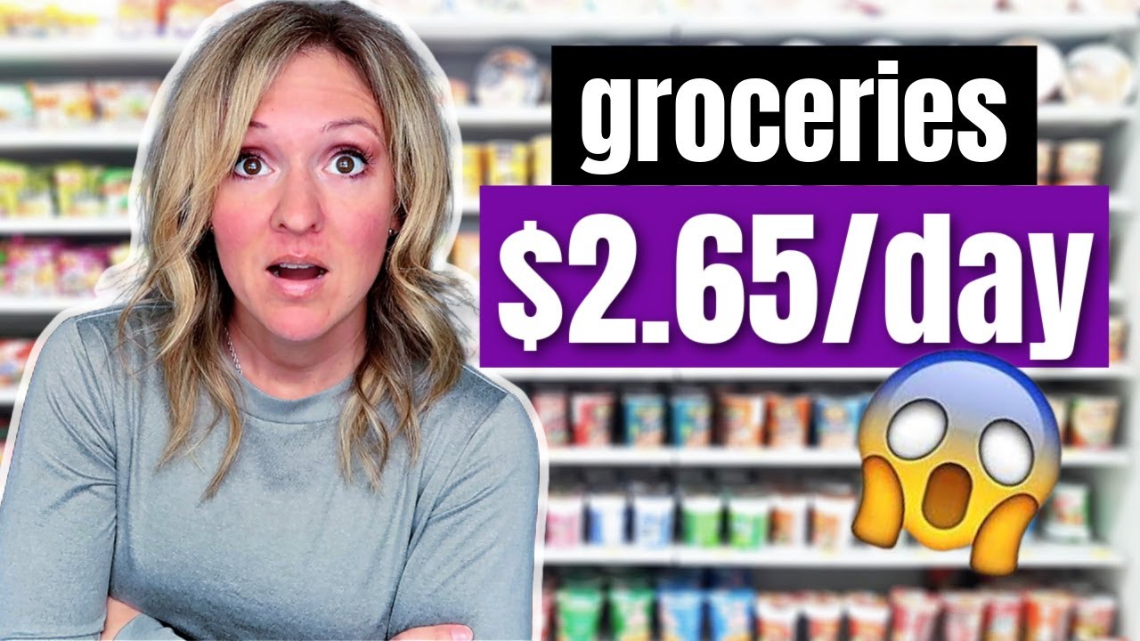 *REALISTIC* BUDGET GROCERY HAUL $110/WEEK // 2023 Feed a Family on a Budget