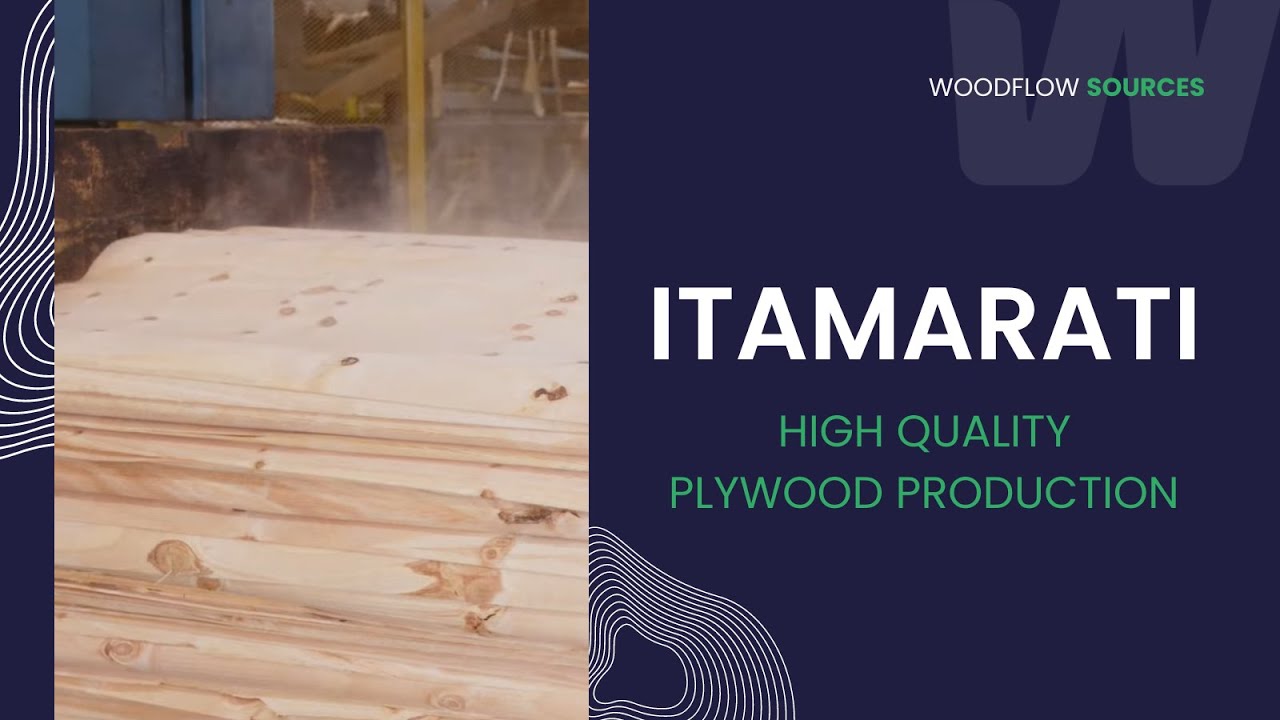 Visit Itamarati: Unveiling High-Quality Plywood Production