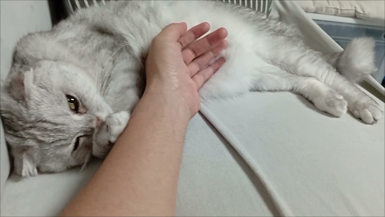 은비2