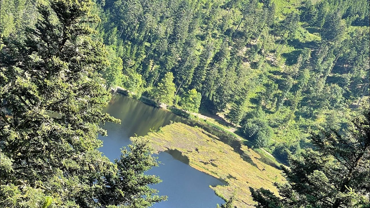 Haldenhof - Kälbelescheuer - Sirnitz - Nonnenmattweiher 🇩🇪 Schwarzwald Wanderung