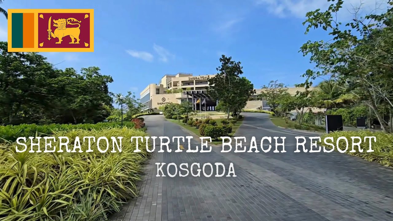 Sheraton Kosgoda Turtle Beach Resort, Sri Lanka | Hotel Review