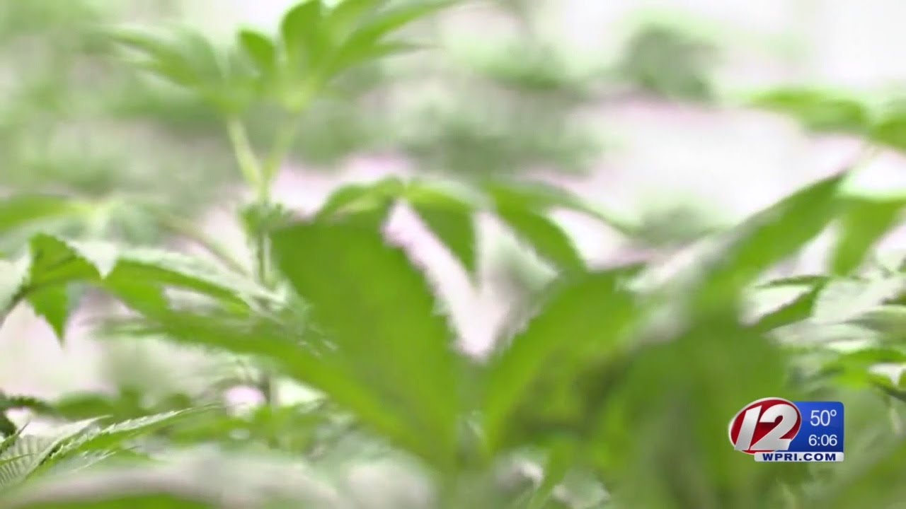 Proposed bill would make medical marijuana more affordable, accessible for patients