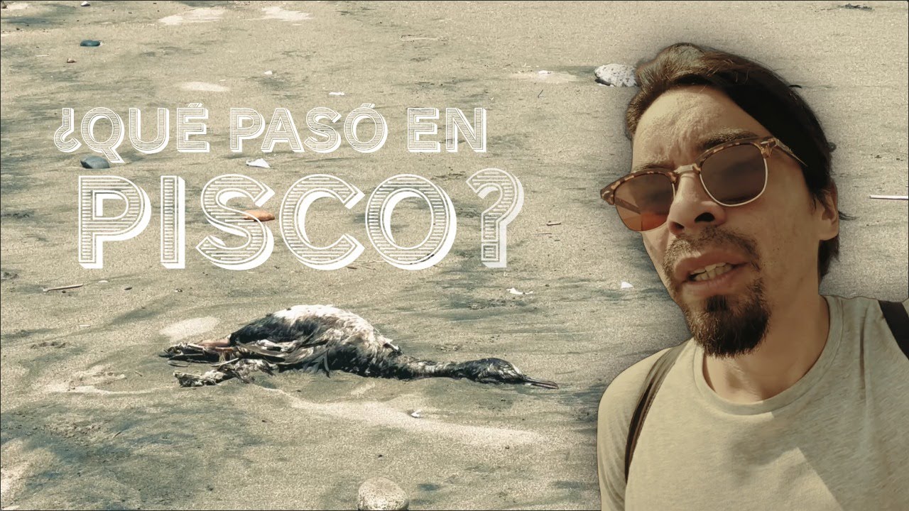 🇵🇪 Pisco: ¿La capital del pisco o la ciudad olvidada?