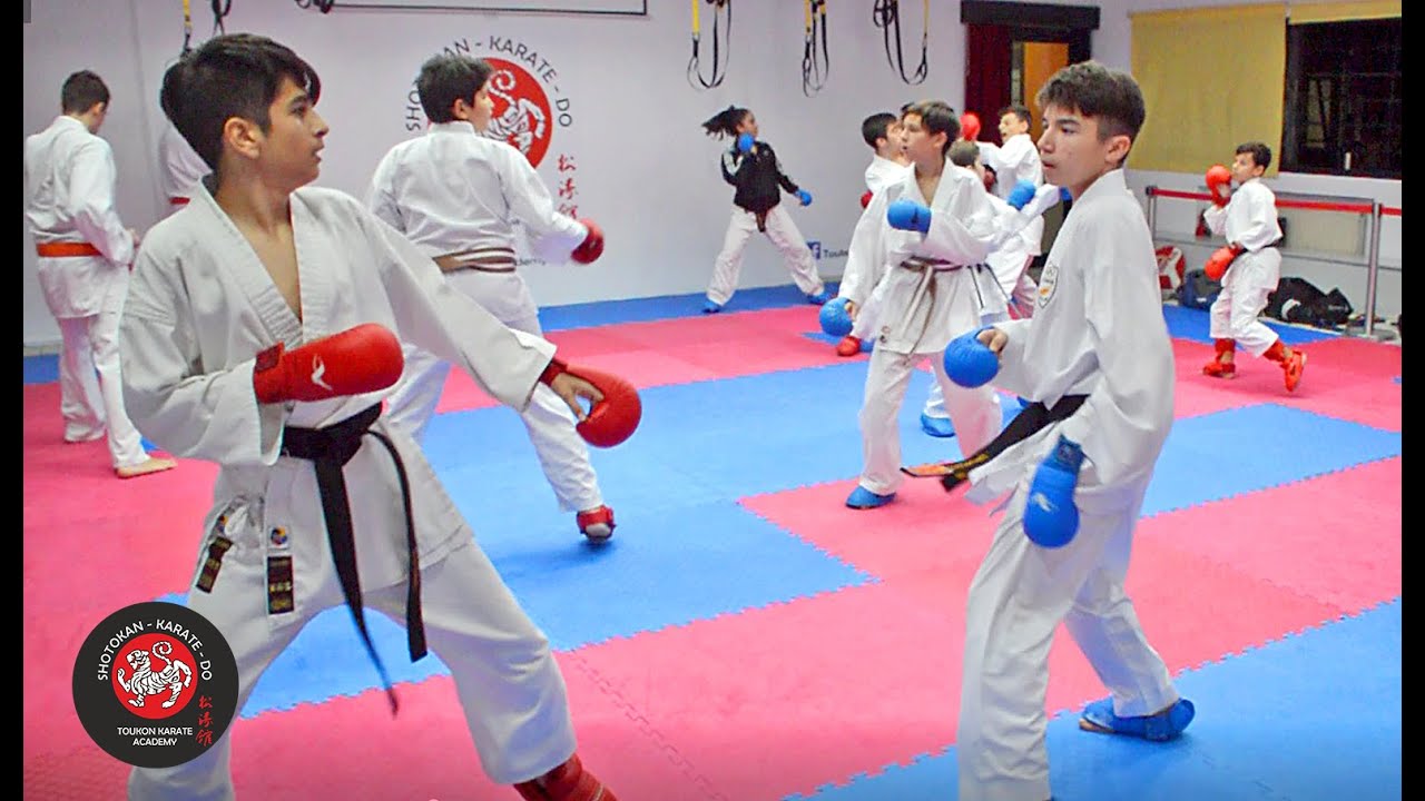 Toukon Academy Athletes Free Fight Training