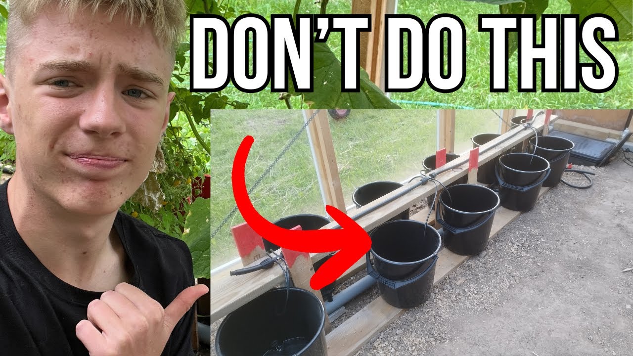 10 Mistakes I Made Buildning My Hydroponic Dutch Bucket System