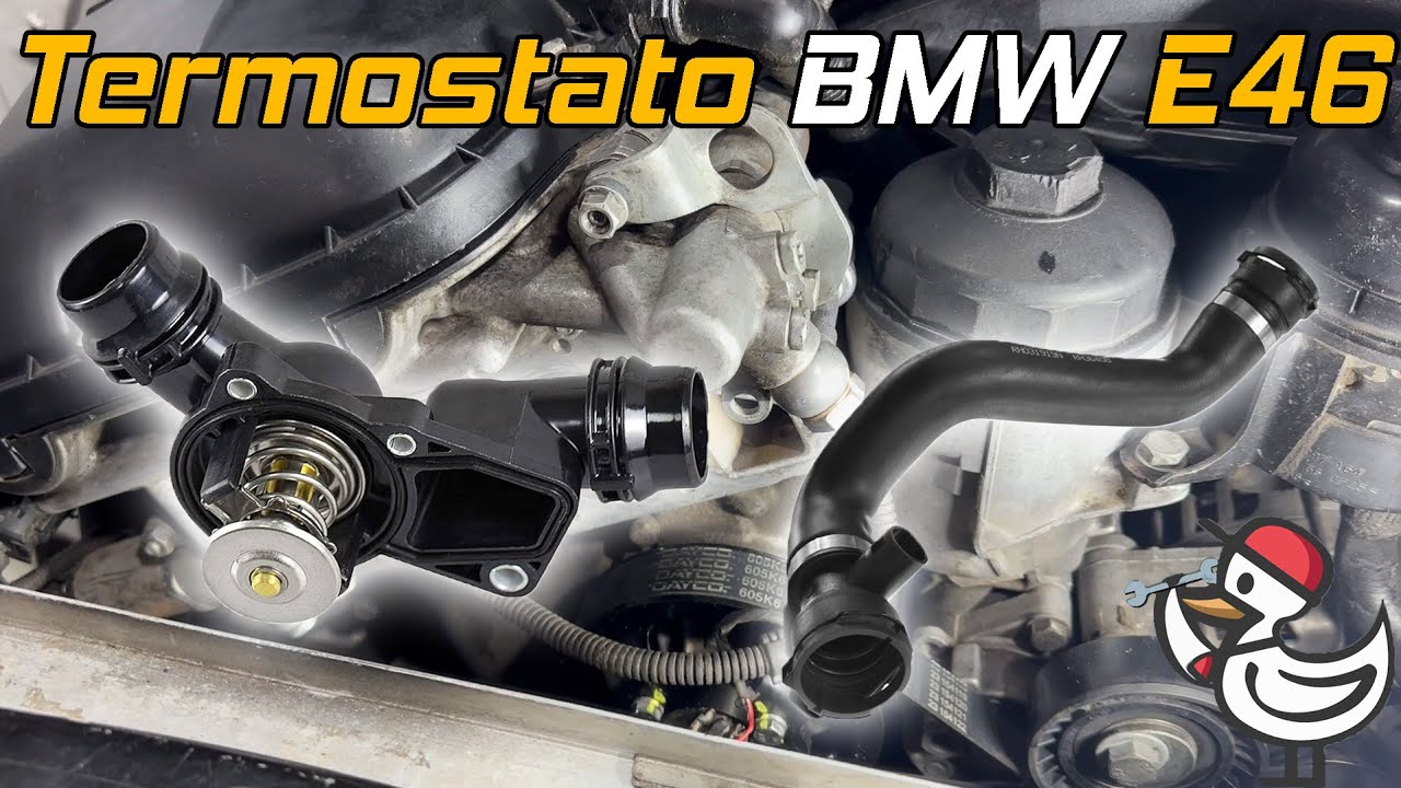 Cambio de termostato y mangueras de radiador  BMW E46