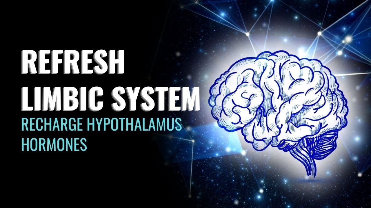 Refresh Limbic System | Recharge Hypothalamus Hormones | Empower The Homeostasis of The Body | 528Hz