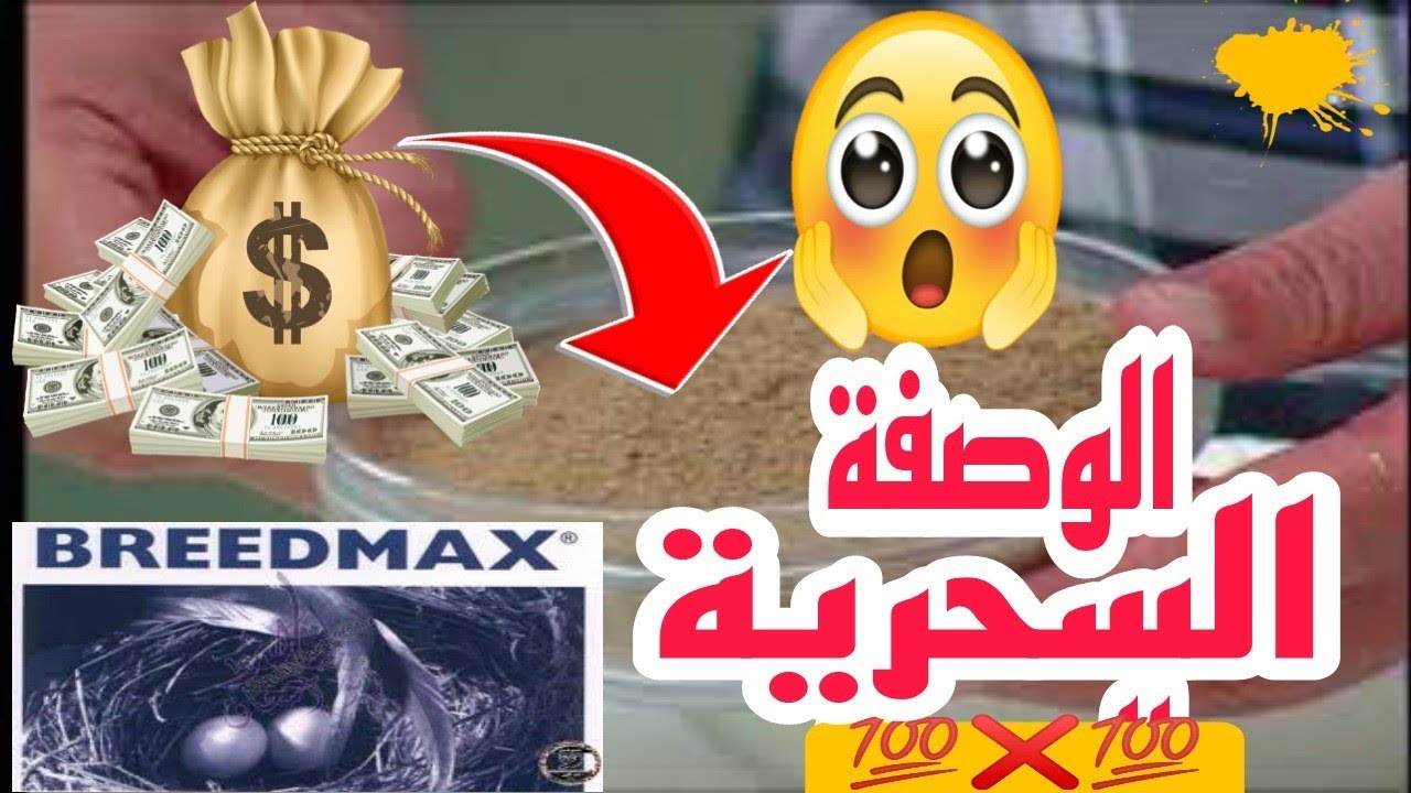 👈وفر نقدك و حضر البديل المنتوج #البريد ماكس# و #الباتي التجاري# للطيورك #كفاش# 😱(دخل تفرج)