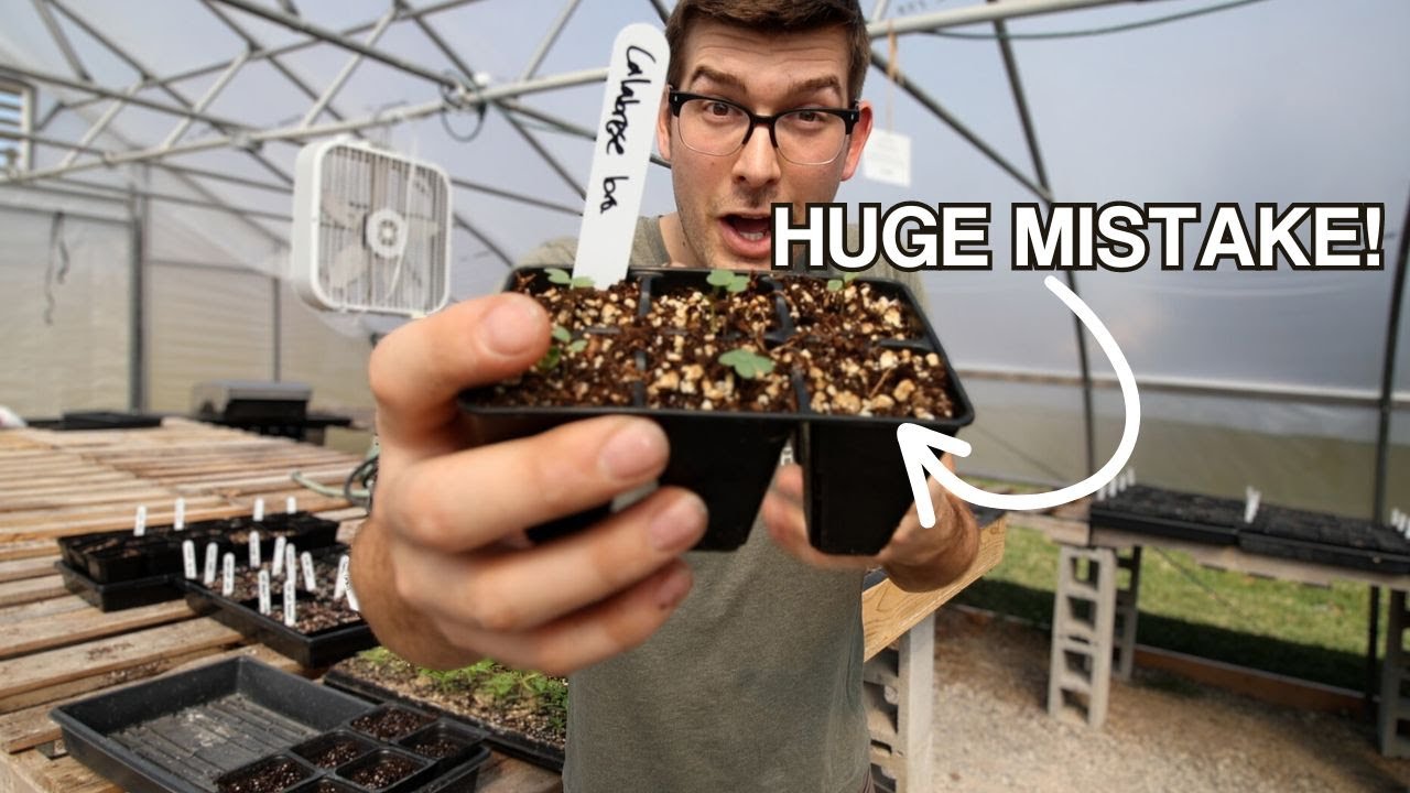 This Transplanting Tip BLEW MY MIND and Saved Me From Killing Plants!