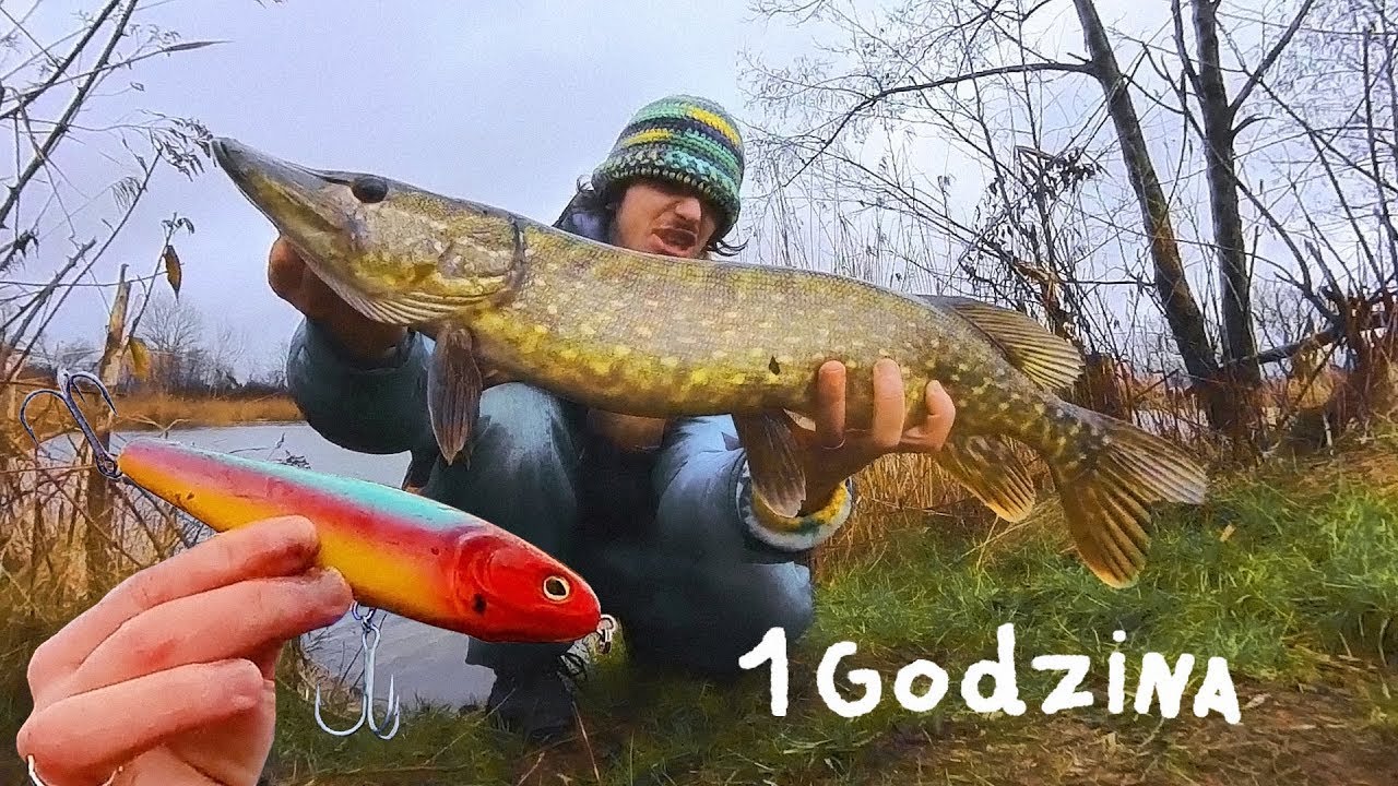 Szybki Wypad Na Dobrego Spota | Piękne Grudniowe Szczupaki