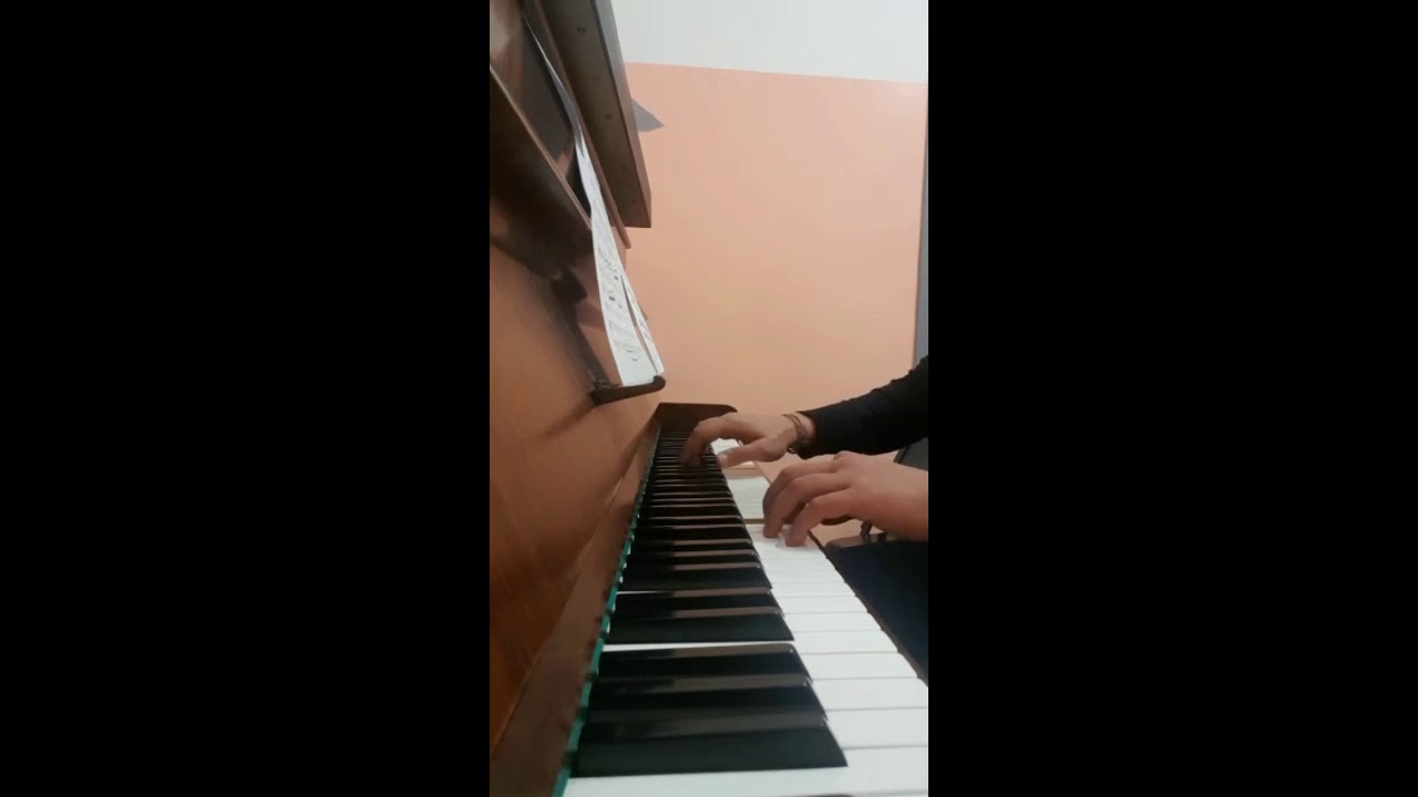 Mozart Reincarnated - Matteo Minchillo Pianoforte