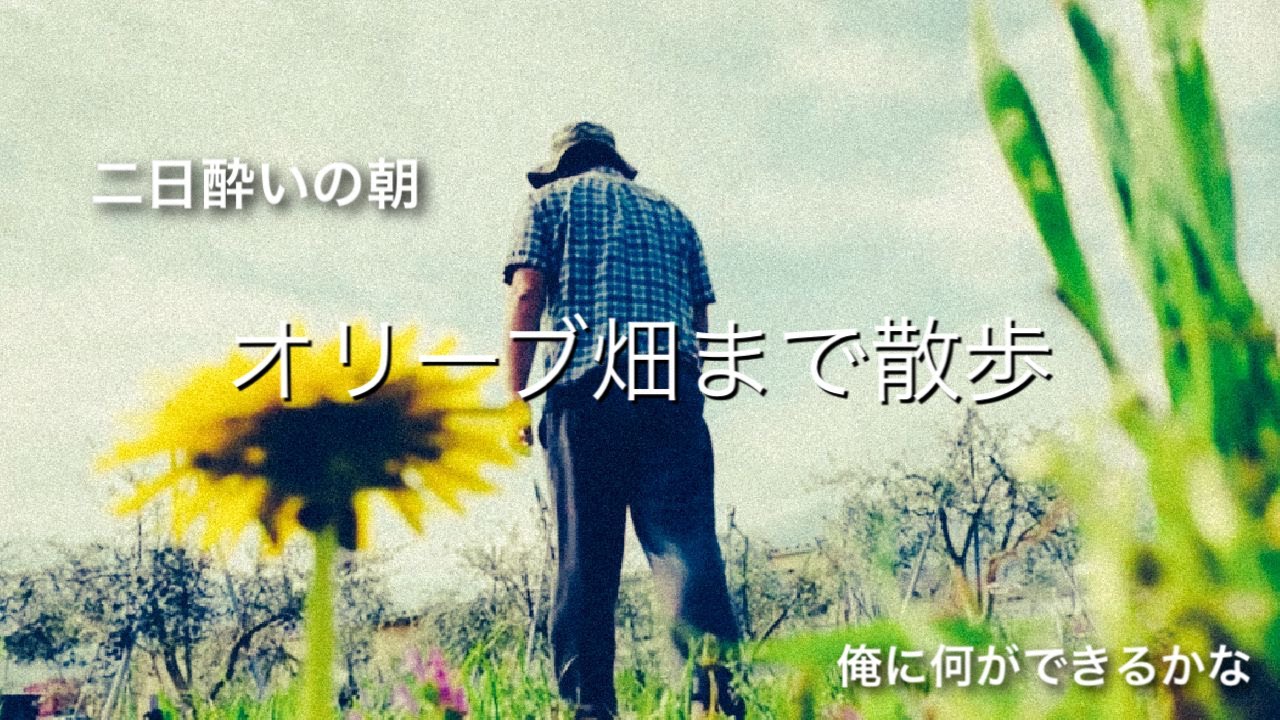 #オリーブオイル#散歩動画#レミオロメン　前田タクヤ【二日酔いの朝に弟のオリーブ畑まで散歩【２０２０年頑張っているおっさんのCH!!!〜「俺に何がができるかな」】おっさんの出勤前の時間！