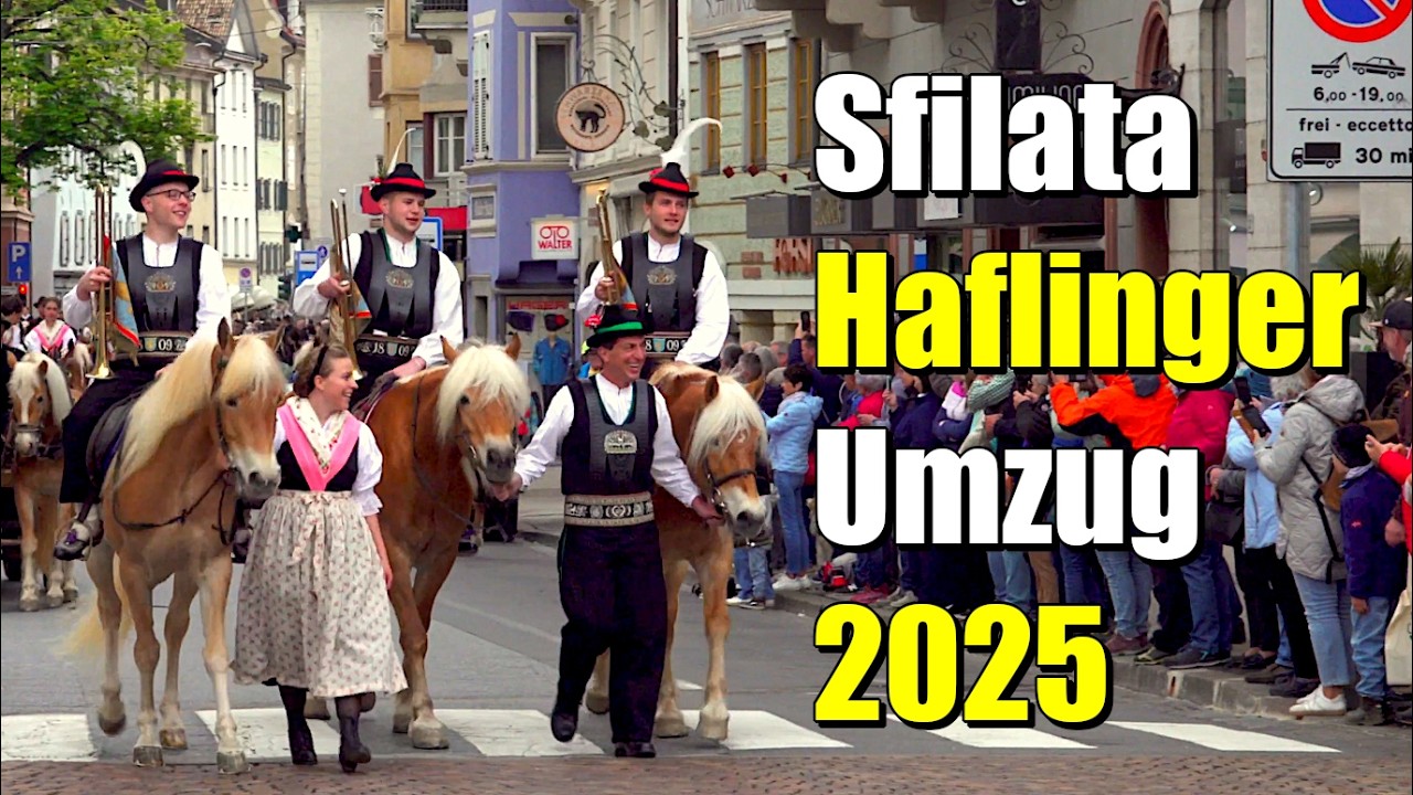 🎠 Haflinger Umzug, Meran 2025 - Sfilata Cavalli Avelignesi, Merano 2025 - Haflinger Parade 2025