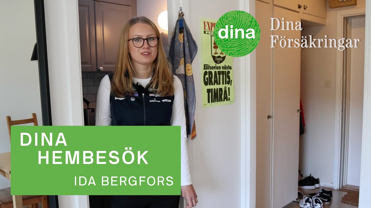 Dina Hembesök - Ida Bergfors