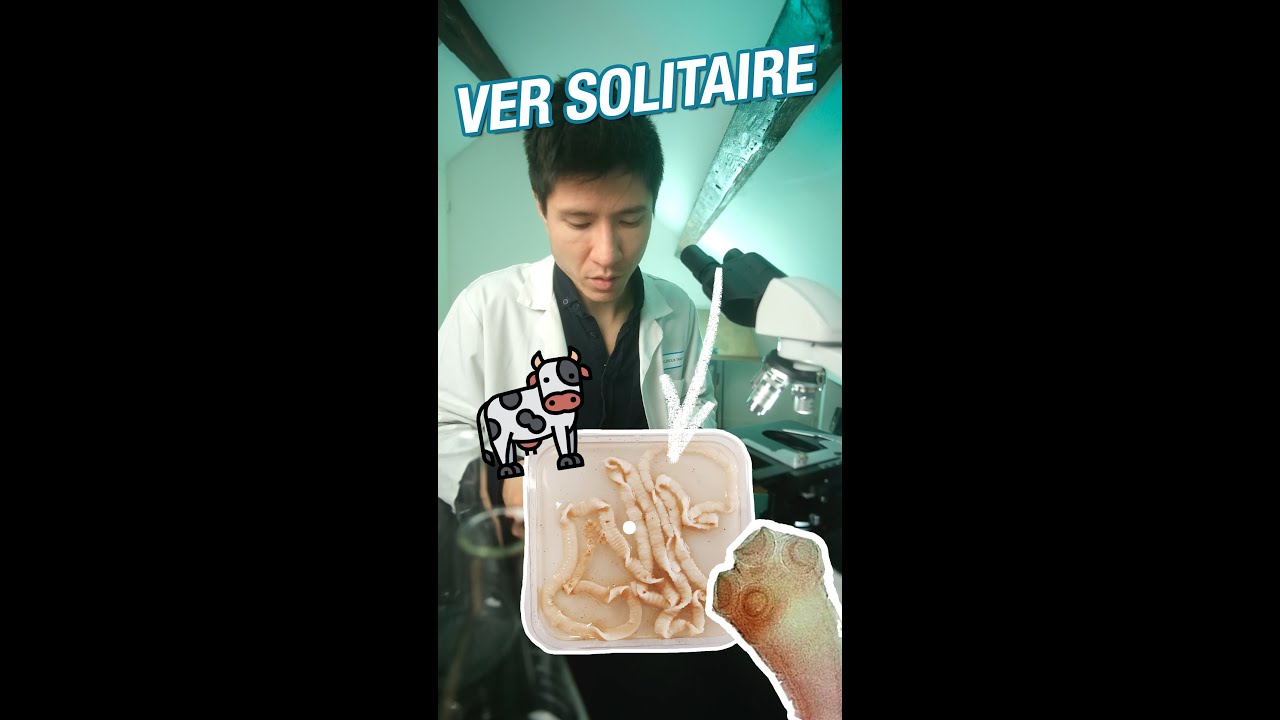 Un ver de 10 mètres de long dans vos intestins ?! 🪱 le Ténia