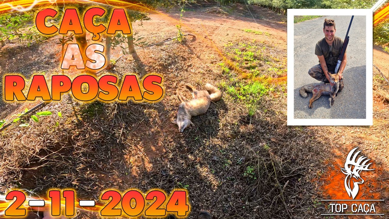 CA&Ccedil;A AS RAPOSAS 2-11-2024