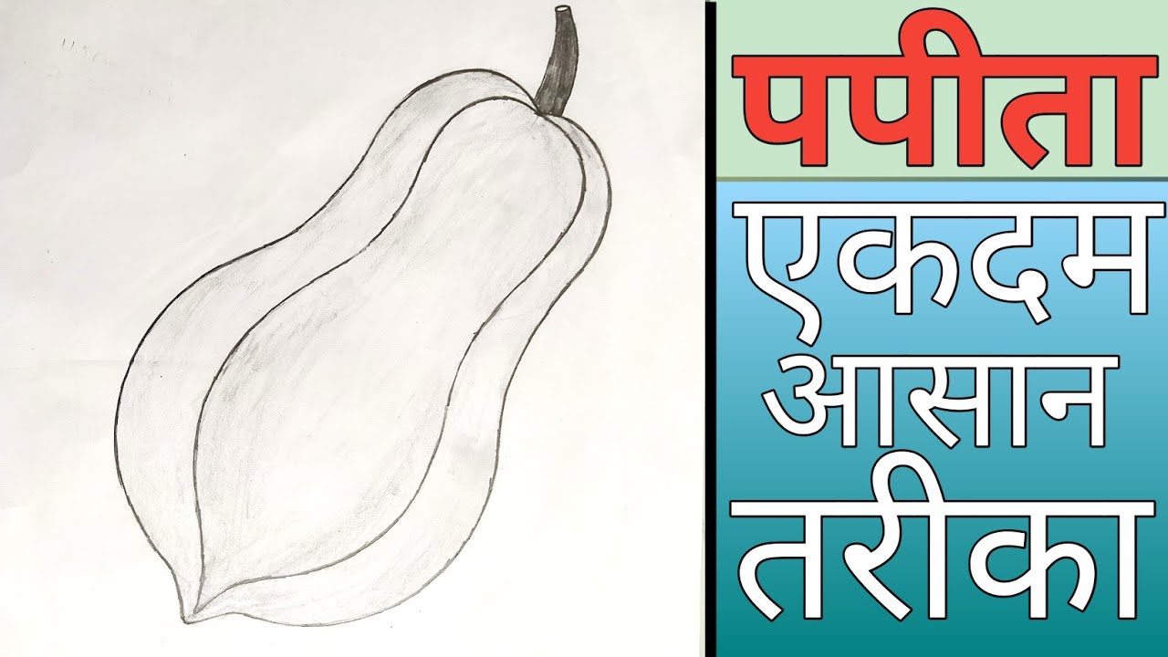 पपीता का एकदम आसान चित्र  How To Draw A Papaya__papaya drawing