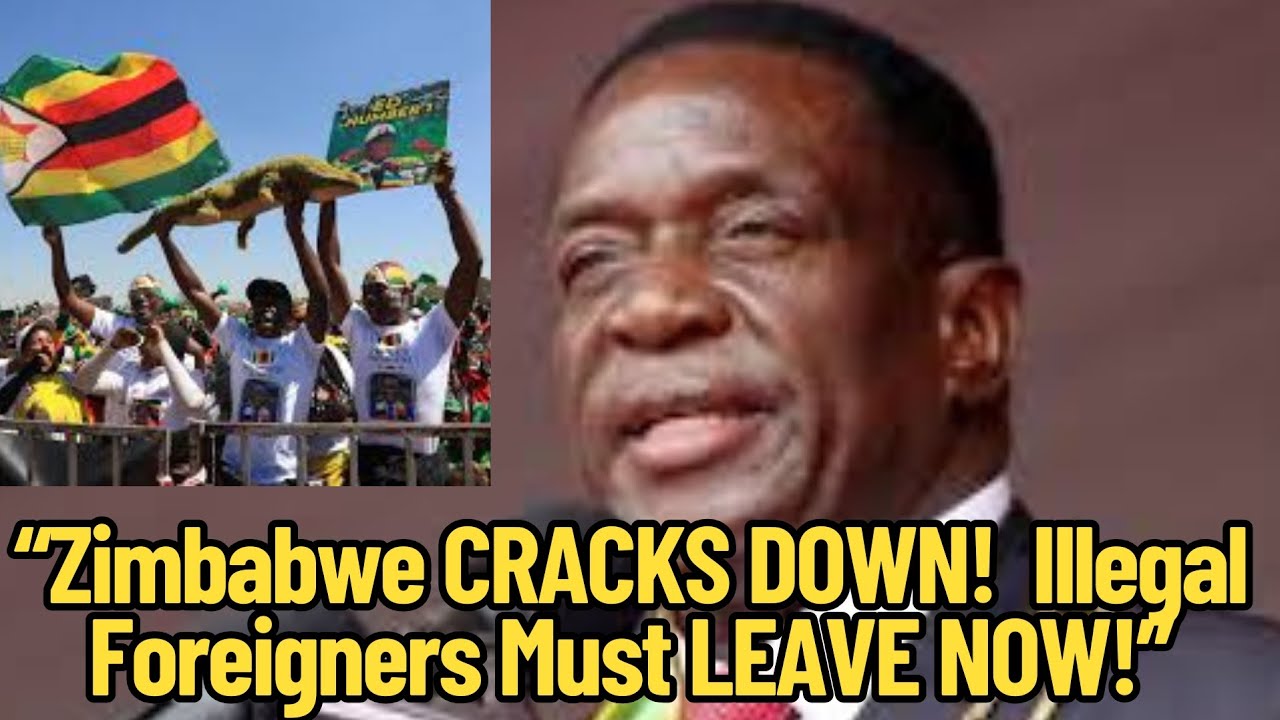 &ldquo;Bad News for Illegal Foreigners in Zimbabwe | New Law Changes Everything
