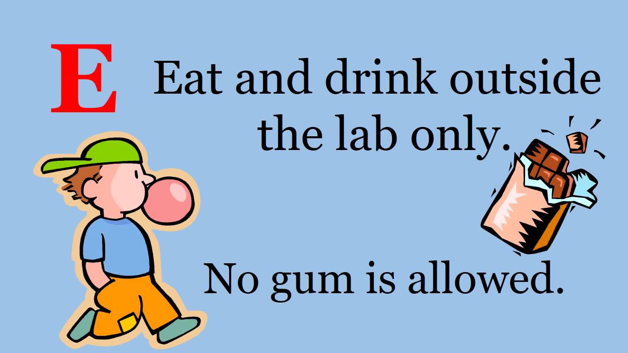 Computer Lab Rules- Bloomingdale Elementary