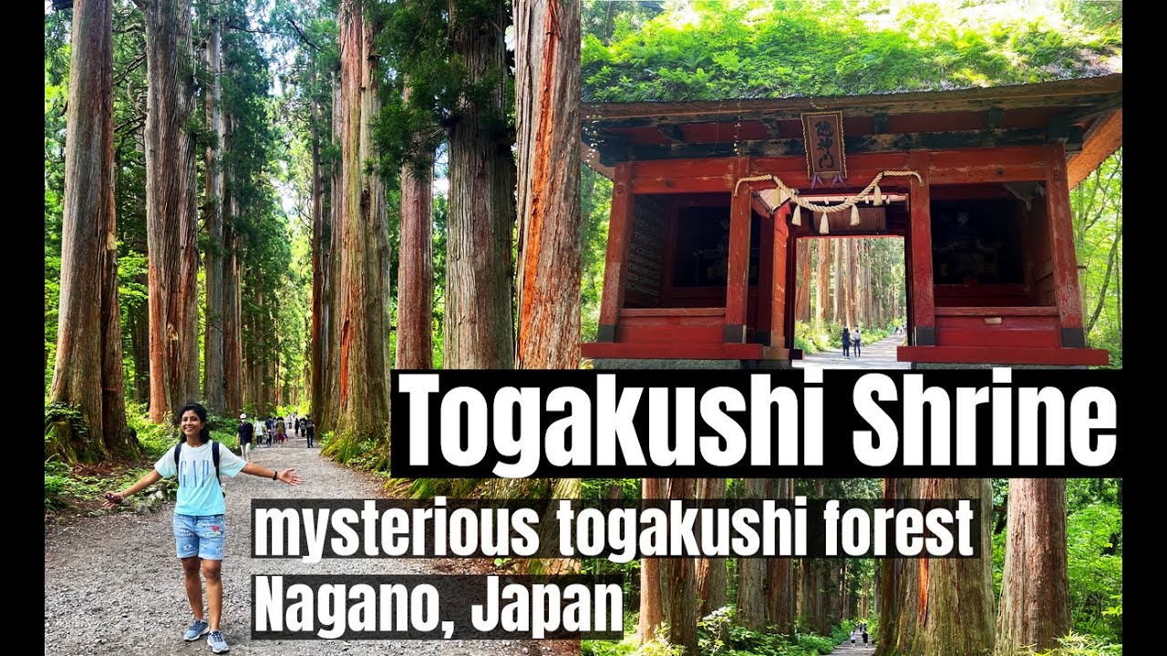 Togakushi Shrine (戸隠神社), hiking mysterious togakushi forest - Nagano, Japan #4K