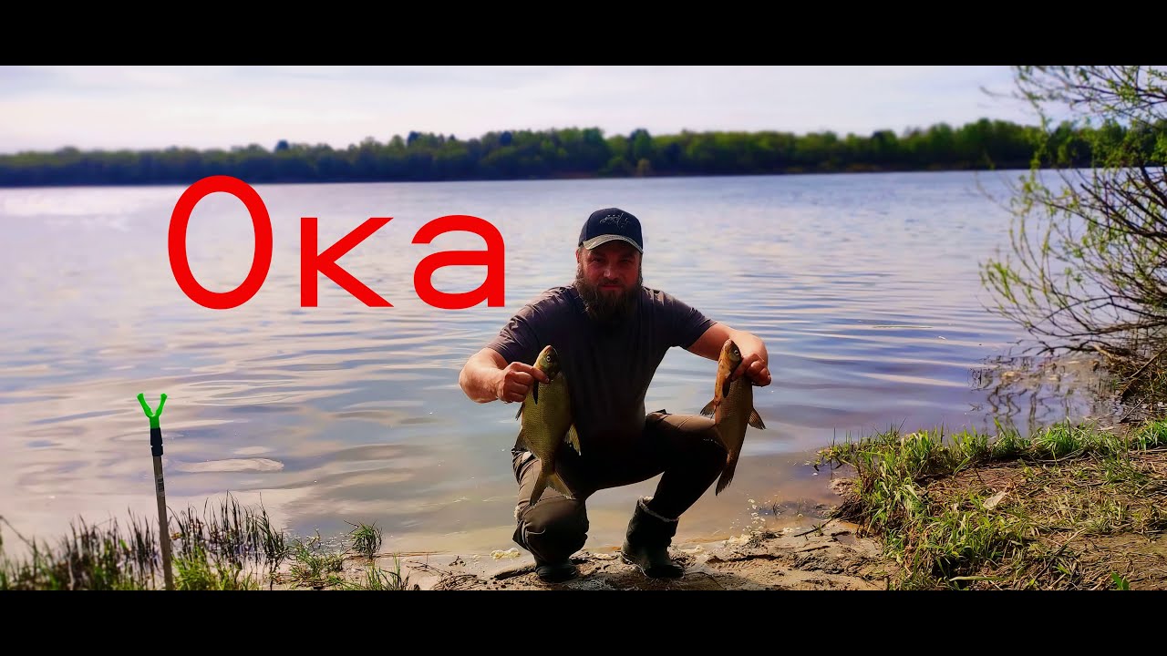 Рыбалка На ОКЕ. Три Дня РЫБАЛКИ. Ловим Рыбу Собираем Грибы