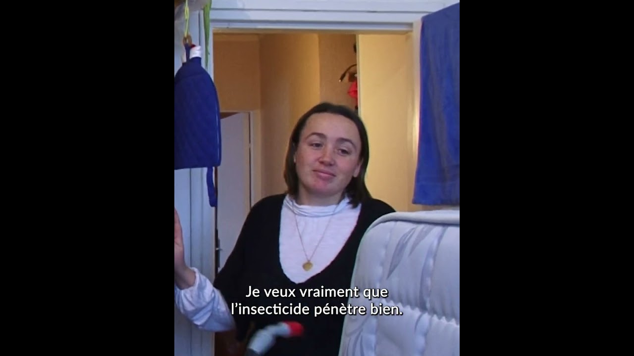 Invasion punaise de lit | J'en ai pleuré d'angoisse