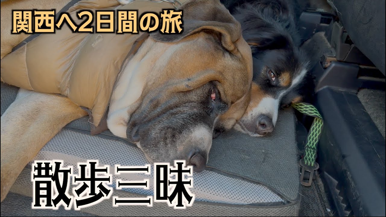懐かしい散歩道をひたすら歩く【関西へ旅】