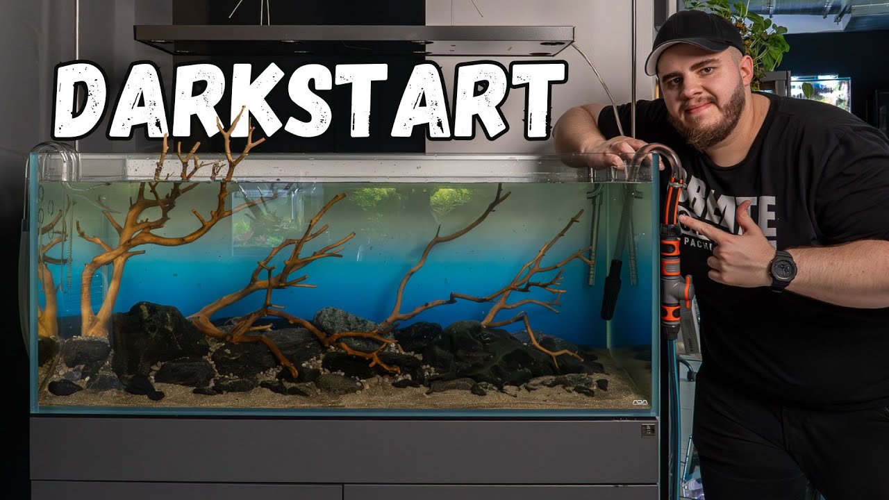 Darkstart im 300L Fluss-Aquascape: Der beste Weg für einen stabilen Start?
