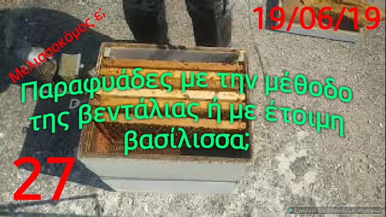 Παραφυάδες με την μέθοδο της βεντάλιας ή με έτοιμη βασίλισσα;