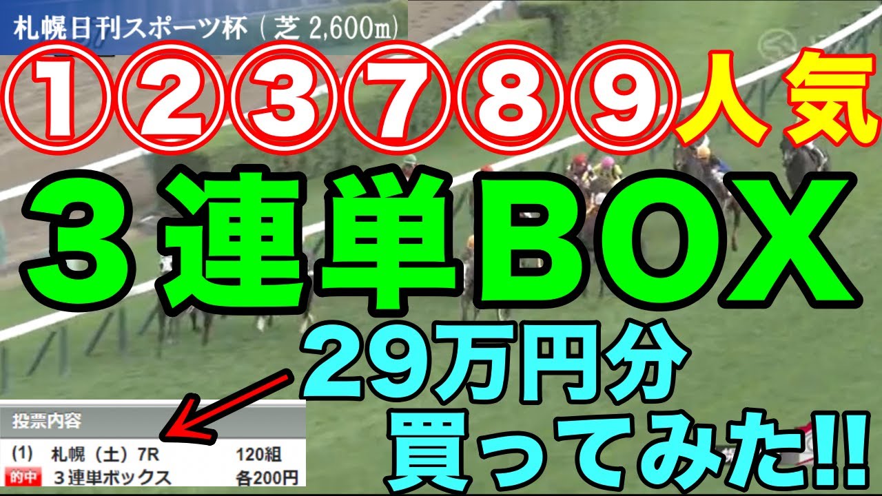 【競馬検証】29万投資！3連単6頭BOX①②③⑦⑧⑨人気の6頭で買ってみた！