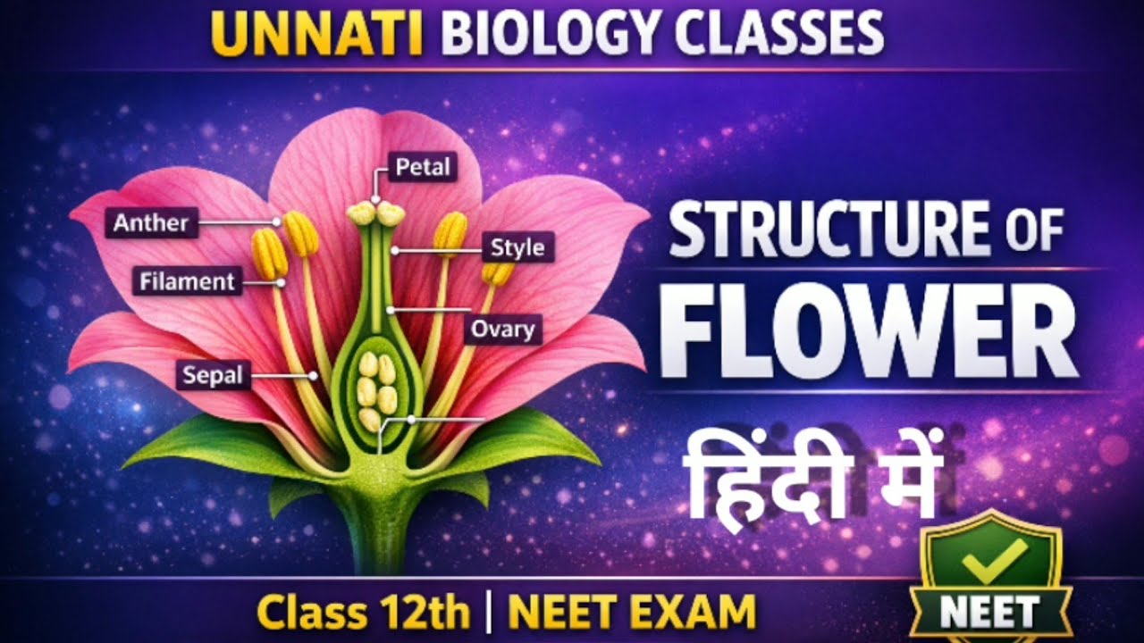 पुष्प की संरचना//structure of flower//12th biology//sexual reproduction in flowering plant