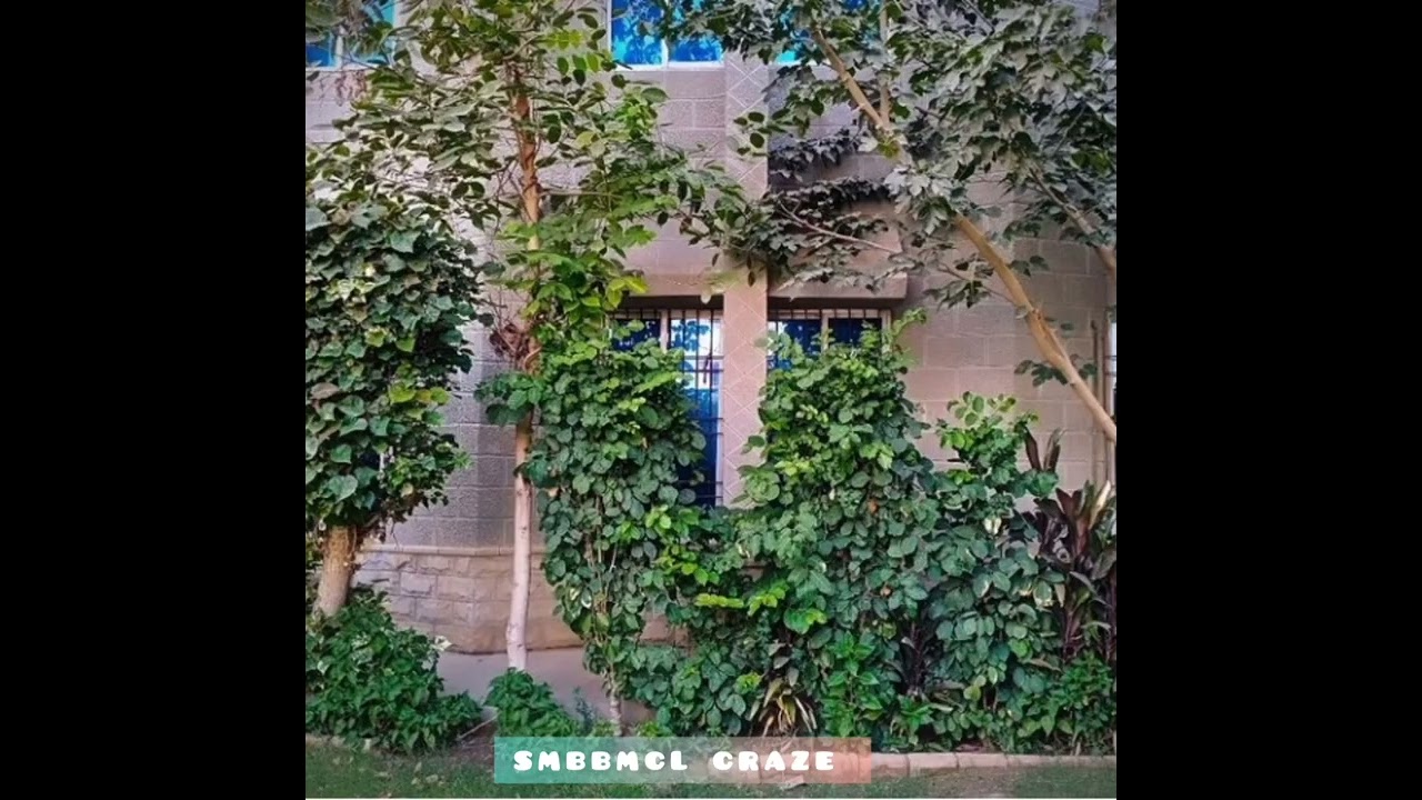 Saheed muhtarama benazir Bhutto medical college lyari Karachi.