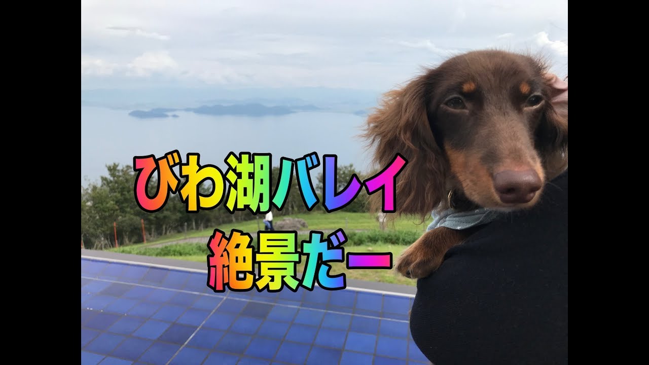 絶景を見にワンコとびわ湖バレイ