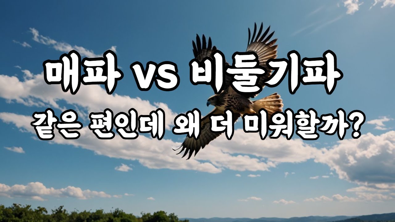 매파와 비둘기파의 대립 ㅣ 강경파와 온건파의 대립