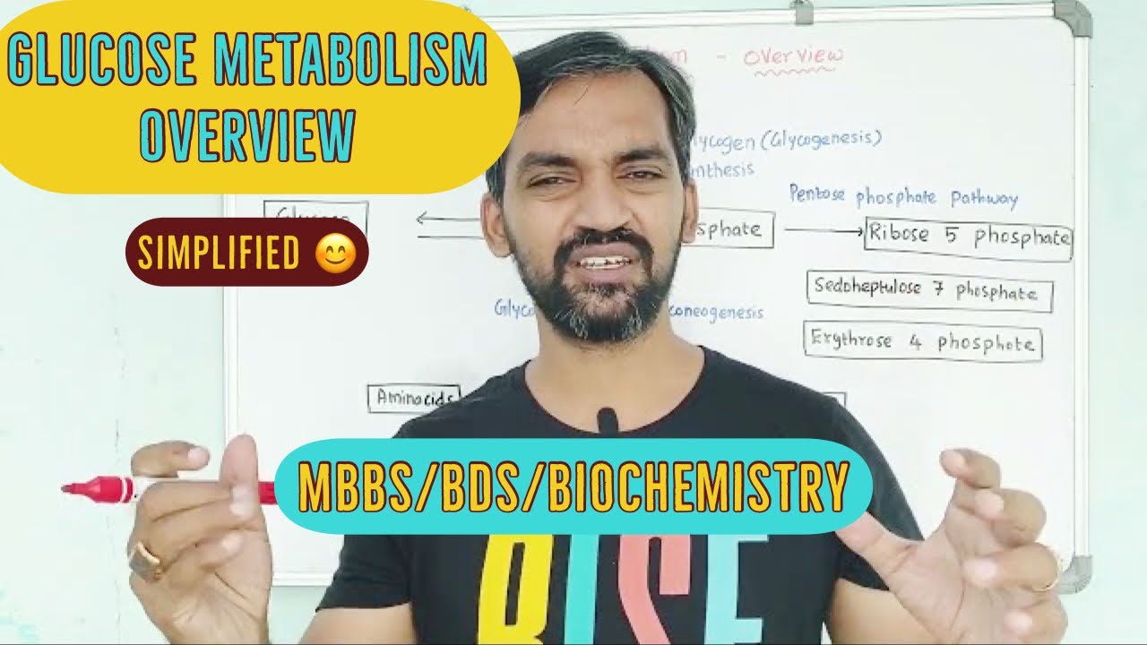 Glucose Metabolism | Simplified | MBBS,BDS, Biochemistry