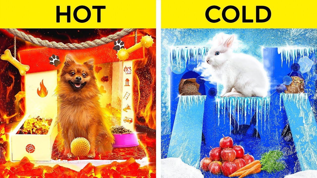 CHIEN DE FEU VS LAPIN DE GLACE ! Maison Dingue pour ANIMAUX ! Chaud VS Froid par 123GO! CHALLENGE