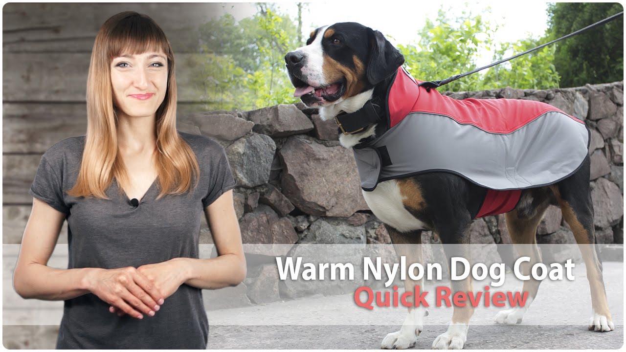 Warm Nylon Dog Coat for Walking in Cold Weather - Review