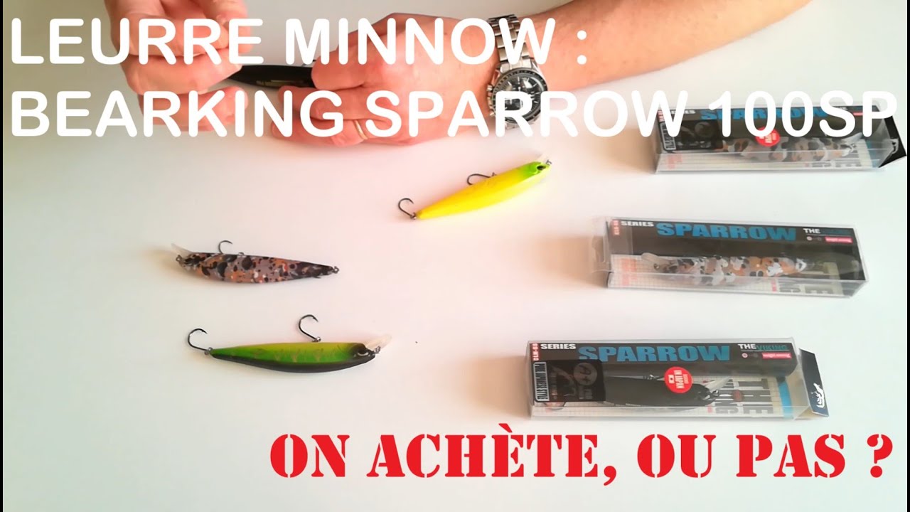 Leurre Bearking Sparrow SP100 - Présentation et test terrain