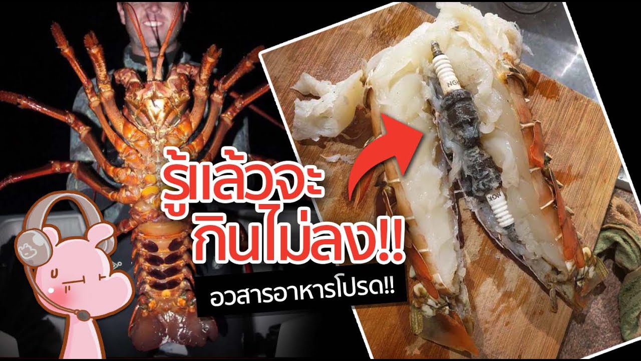 ถ้าเจอสิ่งนี้ในอาหาร ให้รีบทิ้งมันไป!! #จัxxรไดอะรี่ I แค่อยากเล่า...◄1546►