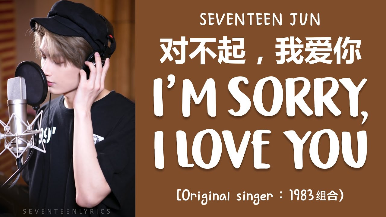 [LYRICS/가사] SEVENTEEN (세븐틴) JUN - 对不起，我爱你 (I'm Sorry, I Love You) [COVER]
