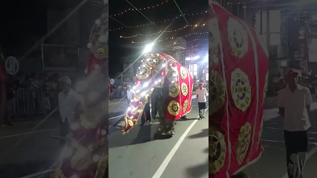හොරණ පෙරහර අපූරුයි.බලන්න බලන්න ආසයි .වැඩිපුරම විද්‍යාරත්න සිසු දස්කම්.තචත්  ඉදිරියට යන්න  . වාසනා.